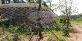 亚星游戏·222(中国区)官方网站