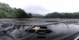 亚星游戏·222(中国区)官方网站